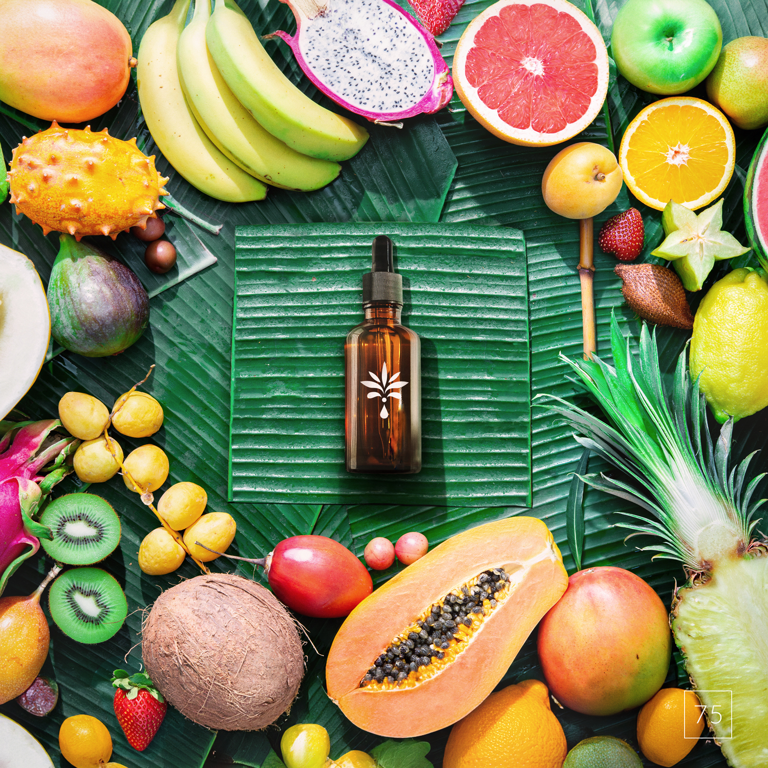 Introducing True Jungle – inspired by the lush wonders of tropical paradises